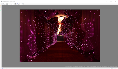 一个。warpgrid文件的截图。NET与Grid Warp插件安装